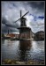mlyny01